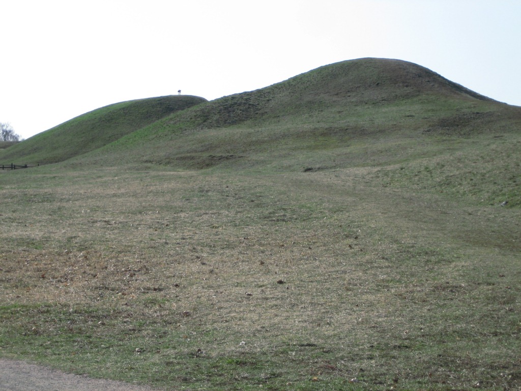 To af de tre Kungshögarna – Västhögen med ligbrændingsanlægget er den bagerste. I baggrunden ses nogle af områdets mange mindre høje.